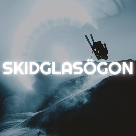 SKIDGLASOGON